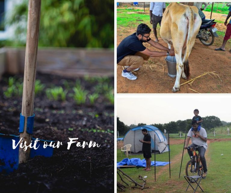 SID’S FARM THE FRESHEST AND UNADULTERATED DAIRY PRODUCTS DELIVERED