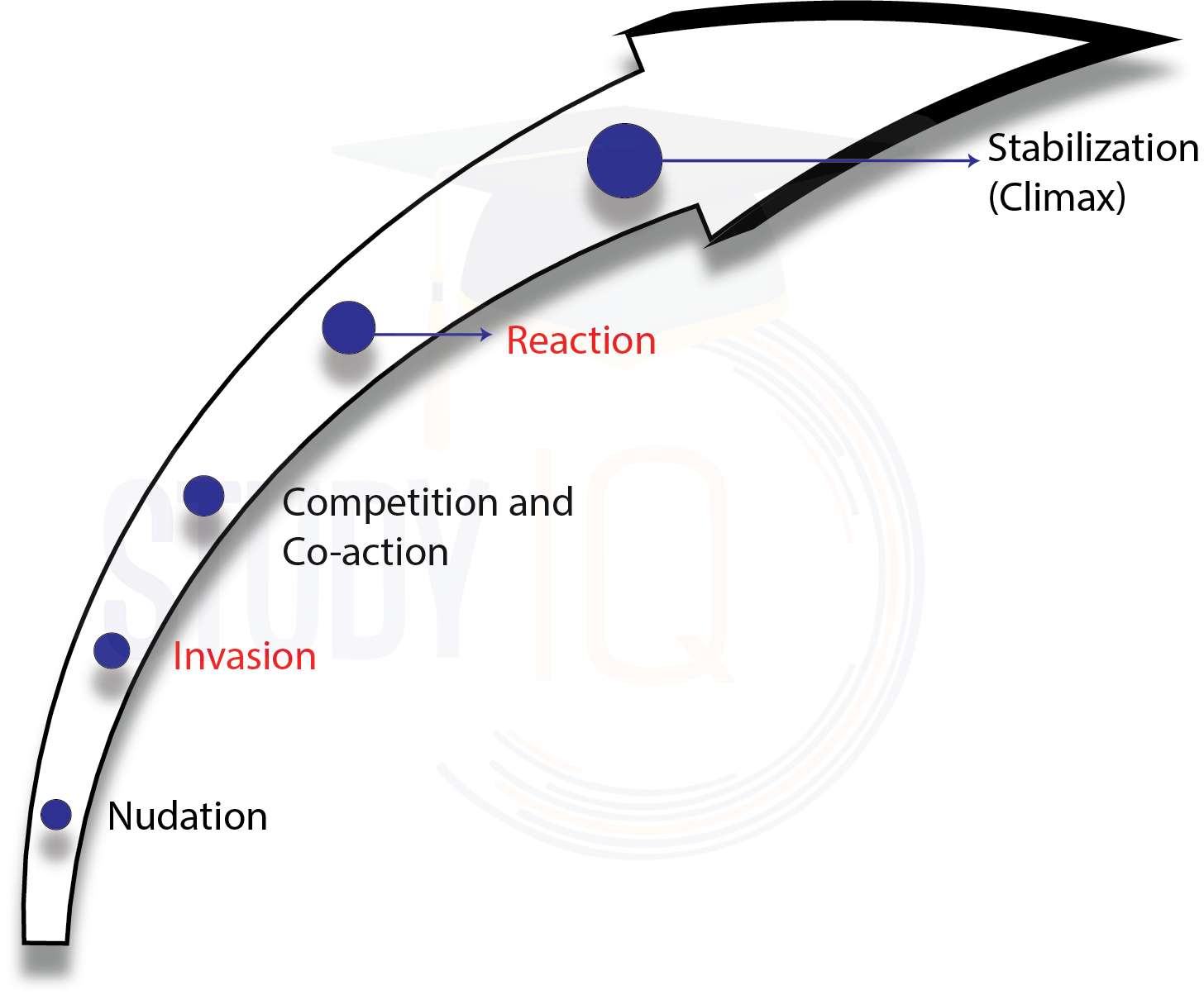 Ecological Succession Definition, Types, Stages, Diagram