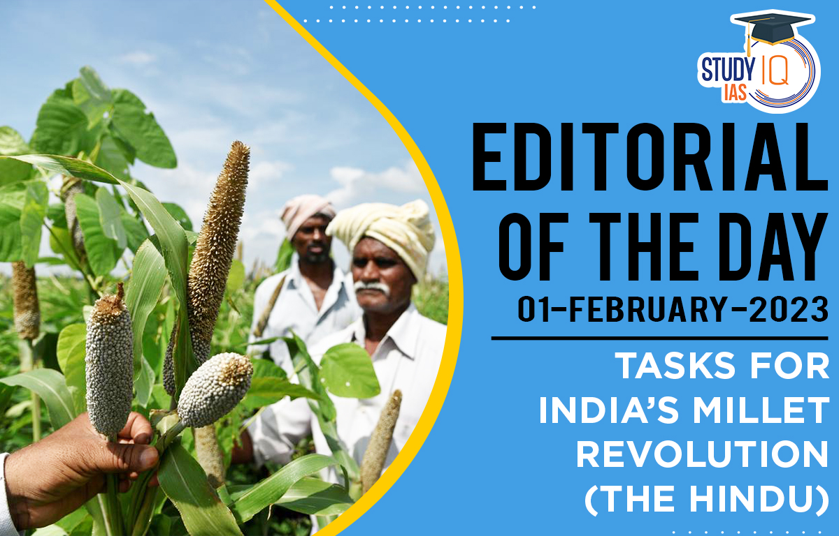 Tasks for India's Millet Revolution