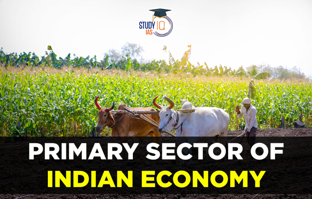 Primary Sector of Indian Economy Examples Agriculture Sector Primary Sector of Indian Economy Examples Agriculture Sector