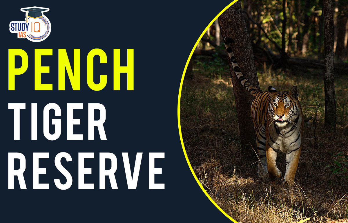 Pench Tiger Reserve, Map, Flora, Fauna, Significance