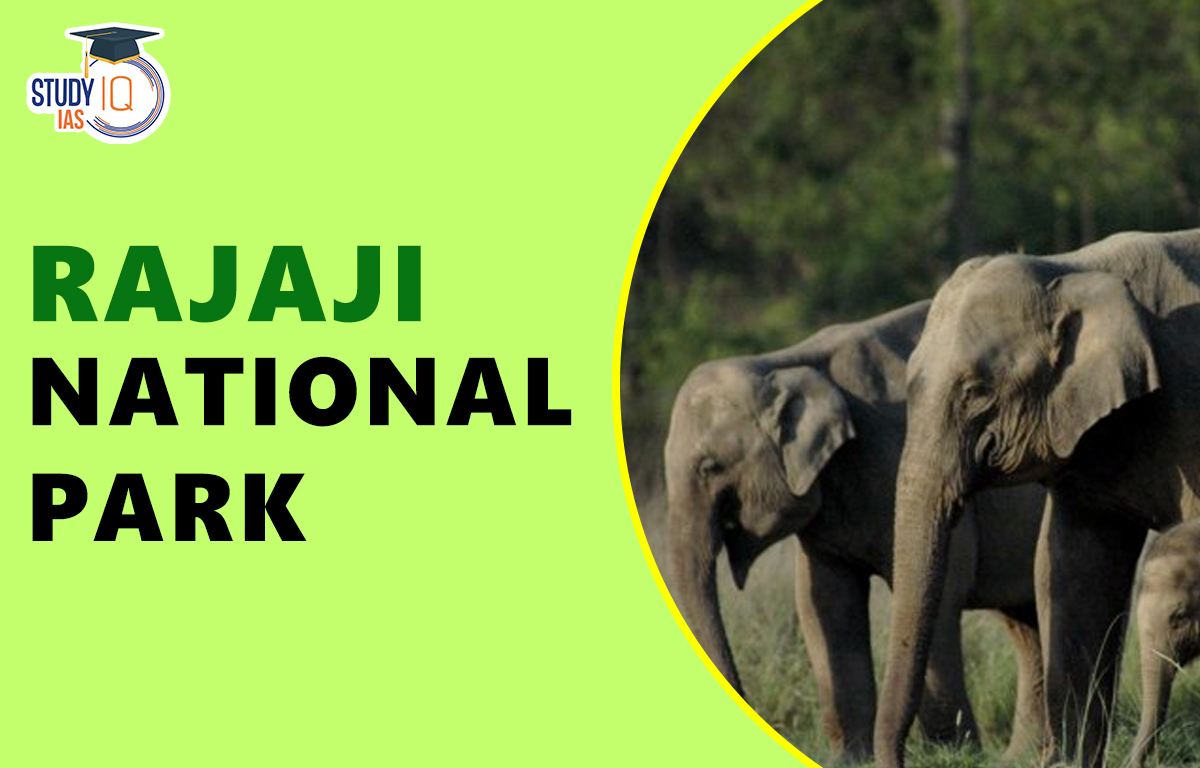 Rajaji National park, History, Feature, Fauna & Forest Type