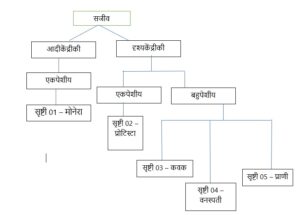 Classification of Living Organisms Part 1-Microorganisms and Plants_40.1