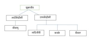Classification of Living Organisms Part 1-Microorganisms and Plants_80.1