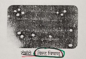 Classification of Living Organisms Part 1-Microorganisms and Plants_120.1