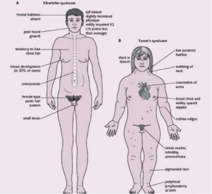 मानवी रोग: रोगांचे वर्गीकरण आणि रोगांचे कारणे | Classification of Diseases and Causes of Diseases_300.1