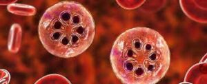 मानवी रोग: रोगांचे वर्गीकरण आणि रोगांचे कारणे | Classification of Diseases and Causes of Diseases_220.1