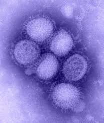 मानवी रोग: रोगांचे वर्गीकरण आणि रोगांचे कारणे | Classification of Diseases and Causes of Diseases_110.1