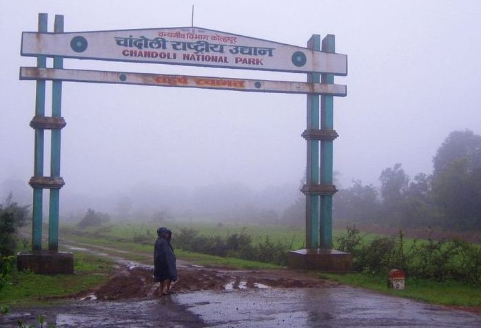 Forests in Maharashtra, महाराष्ट्रातील वने व वनांचे प्रकार आणि अभयारण्ये, Study Material for MPSC Combine Exam 2022 7 Chandoli National Park