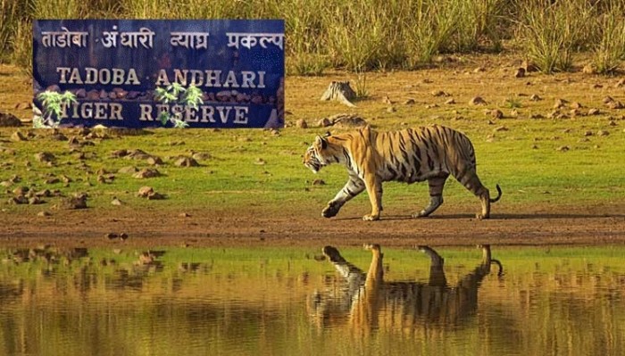 How many National Park in Maharashtra?, List of National Parks in Maharashtra_100.1