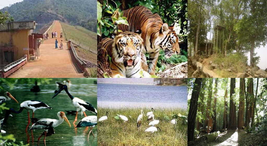 How many National Park in Maharashtra?, List of National Parks in Maharashtra_60.1