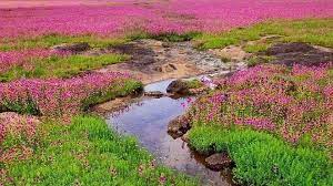 Hill Stations in Maharashtra, Get Complete list of Hill Stations in Maharashtra_60.1