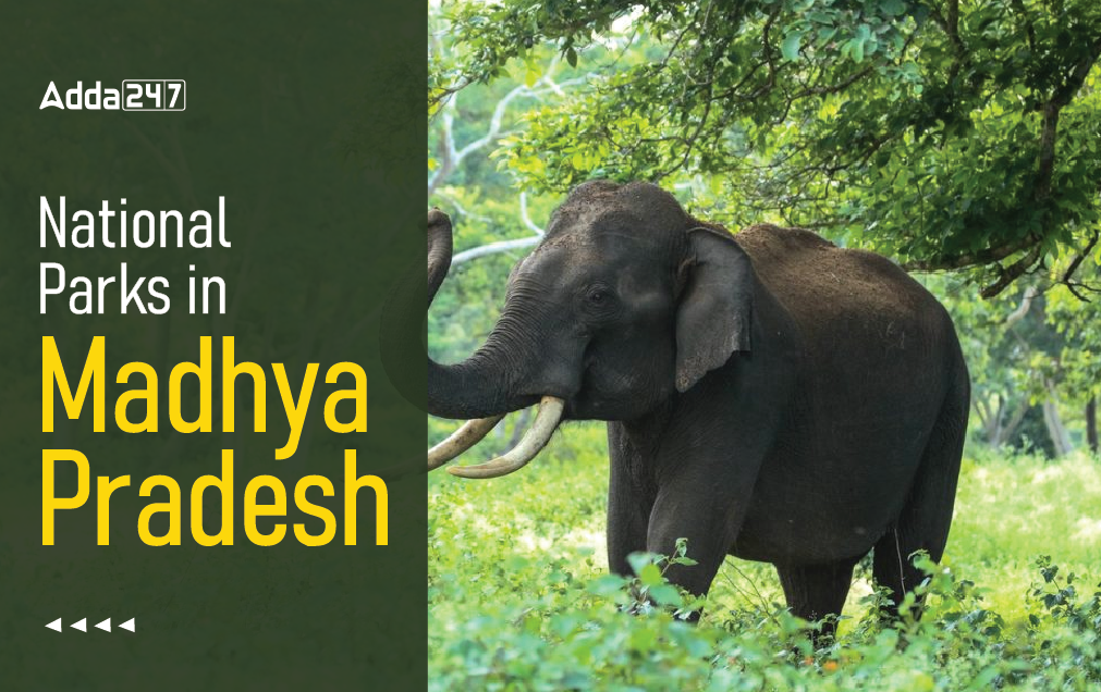 National Parks in Madhya Pradesh, Kuno National Park in MP_30.1