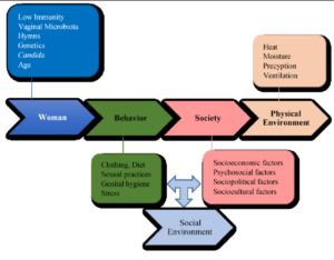 Physical and Social Environment For WB Primary TET_60.1