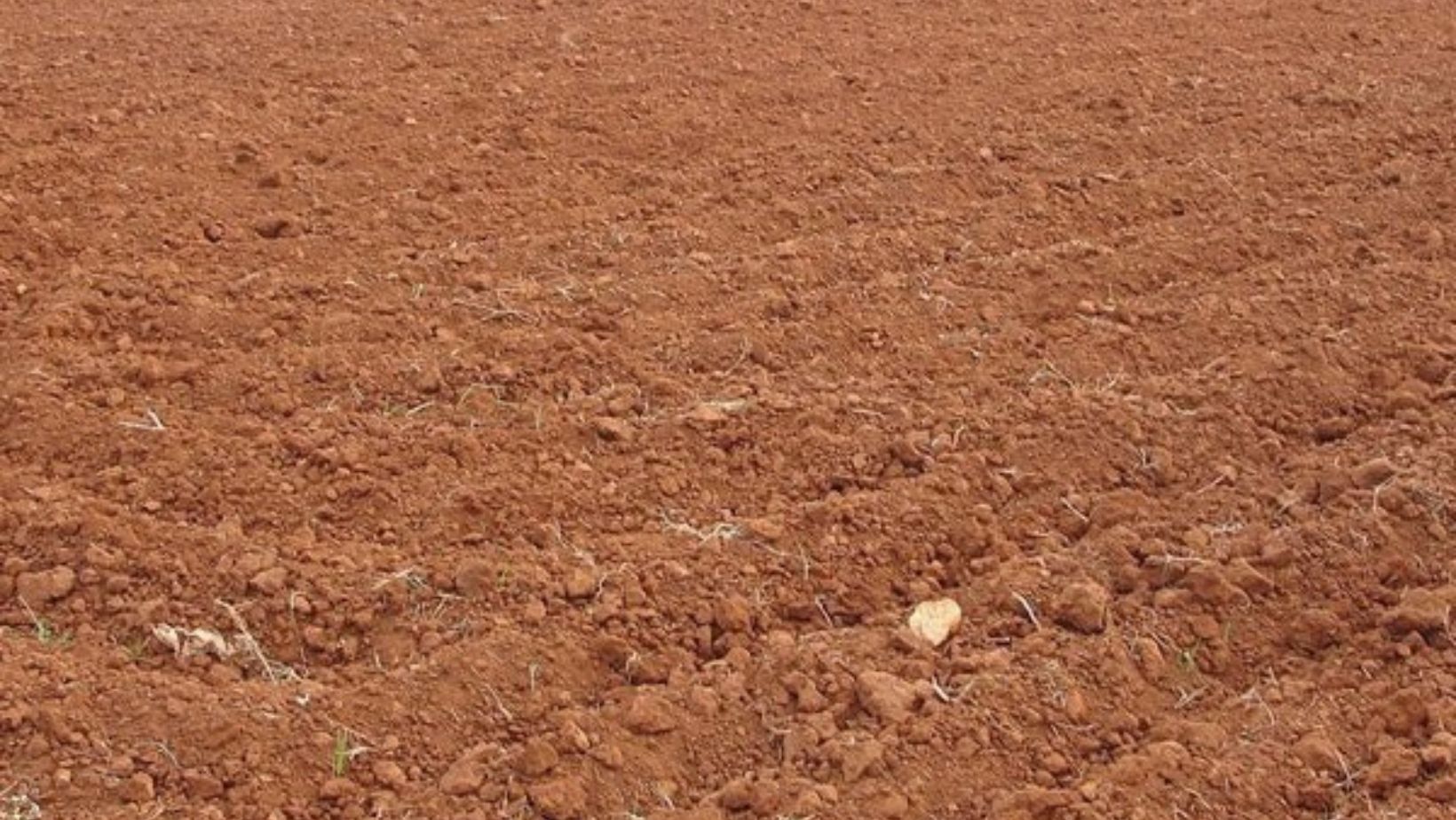 Types of Soils in India | இந்தியாவின் மண் வகைகள்_50.1