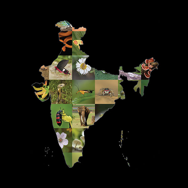 Biodiversity Hotspots in India PDF in Telugu
