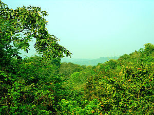 Telangana Environmental protection and sustainability |_60.1
