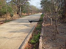 Telangana Environmental protection and sustainability |_70.1