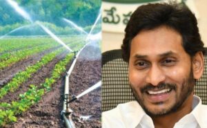 Andhra Pradesh State Current affairs In Telugu July 2022 |_170.1