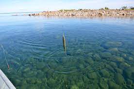 World Largest Freshwater lake: 10 largest Freshwater lakes in the world, जगातील सर्वात मोठे गोड्या पाण्याचे तलाव 9 World Largest Freshwater lake
