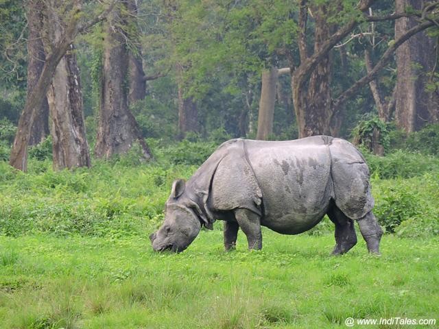 How many National Park in West Bengal?_90.1