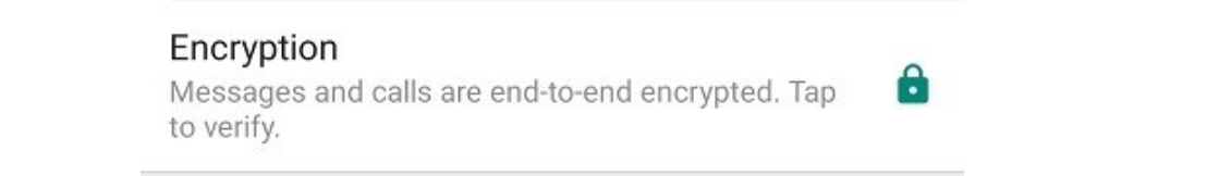Encryption in WhatsApp Business and Personal Profile