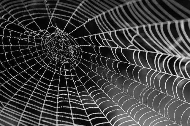 web scraping in python
