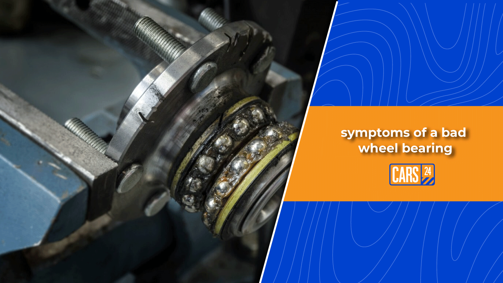 Import a Car to the UAE Know Procedures, Costs, and Requirements