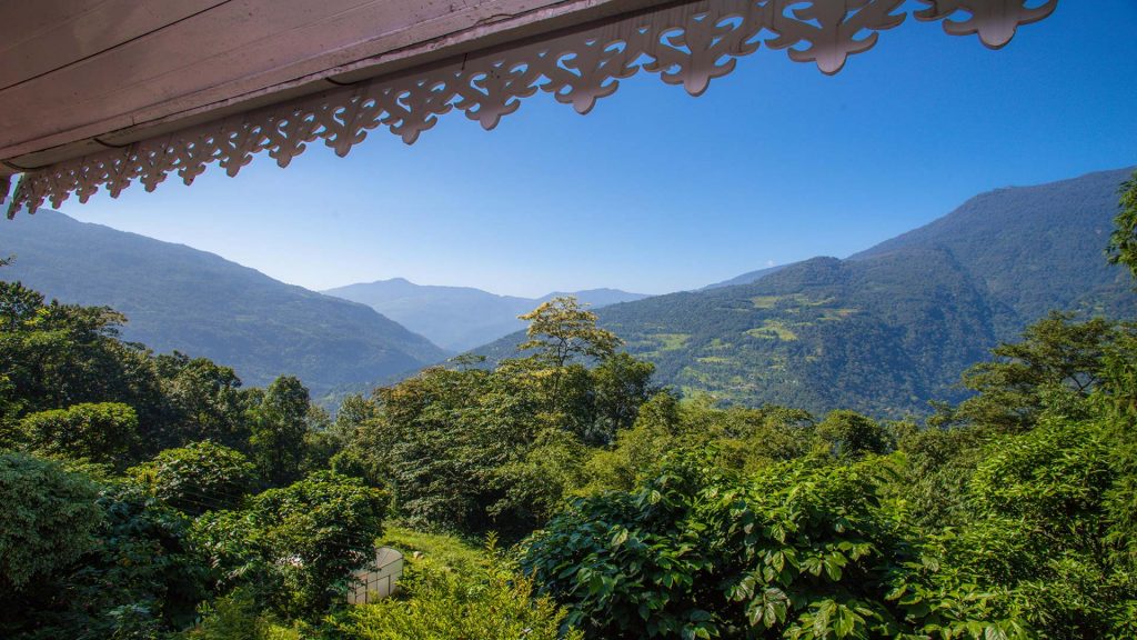Blue sky blending with tall green trees making it a perfect holiday spot