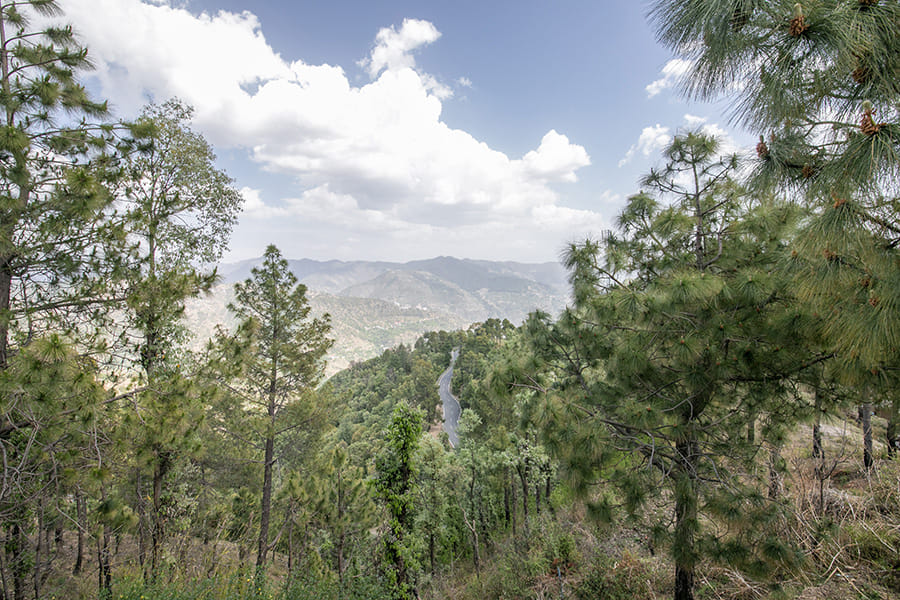 Clouds blending in lush greenery in offbeat location of India