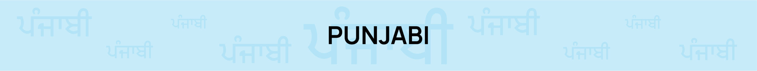 Punjabi Books