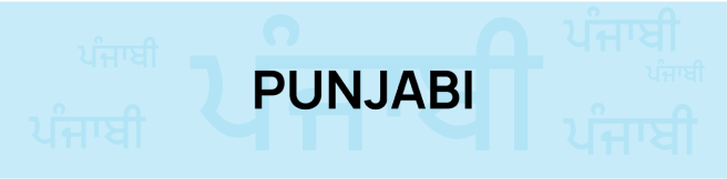 Punjabi Books