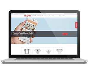 Shopify Development Shopify Development