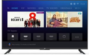 Mi L49M5-AN price list and review
