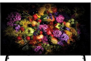 Panasonic TH-49FX600D price list and review
