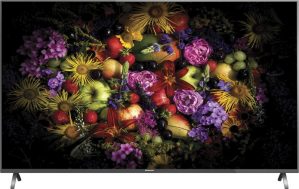 Panasonic TH-55FX730D price list and review