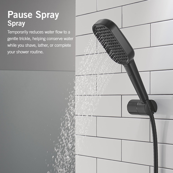 150mm x 89mm Multi-Function (4-Setting) Handshower with FeatherRain Spray