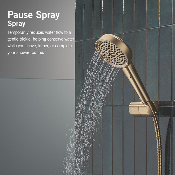 114mm Multi-Function (4-Setting) Handshower with FeatherRain Spray