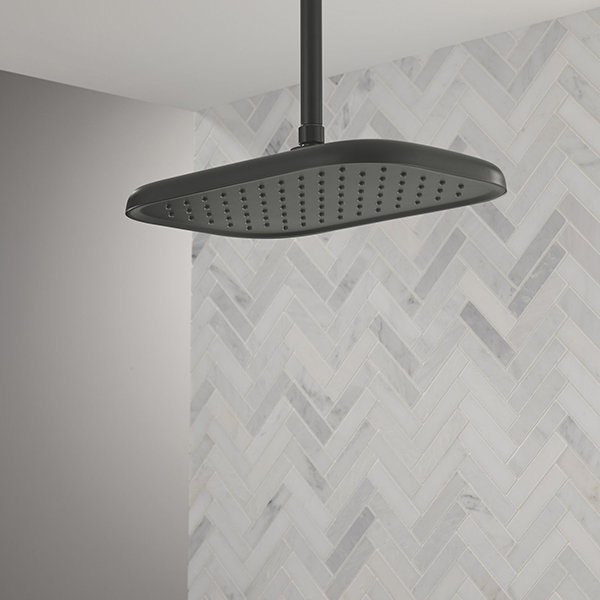 356 x 229 mm Single Function Shower Head with Finish Spray Face