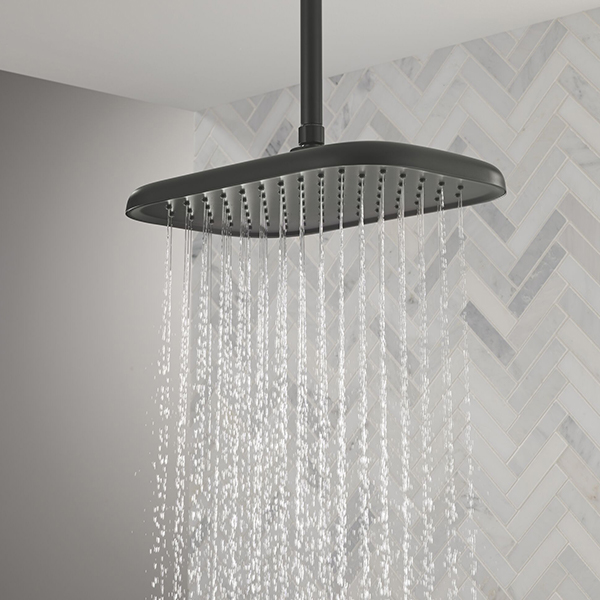 356 x 229 mm Single Function Shower Head with Finish Spray Face
