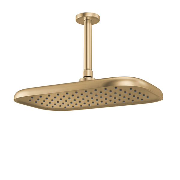 356 x 229 mm Single Function Shower Head with Finish Spray Face
