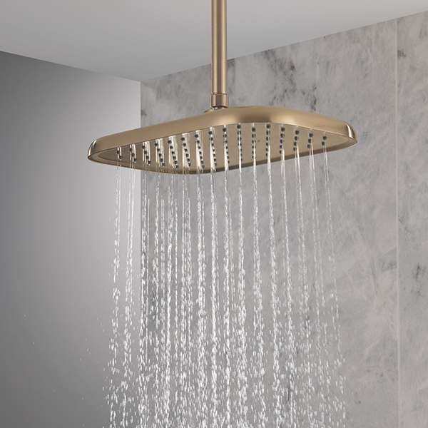 356 x 229 mm Single Function Shower Head with Finish Spray Face