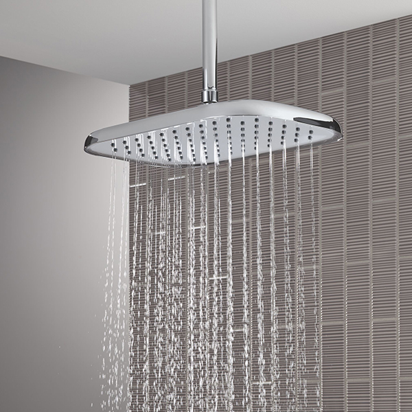 356 x 229 mm Single Function Shower Head with Finish Spray Face