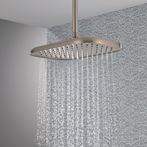 356 x 229 mm Single Function Shower Head with Finish Spray Face