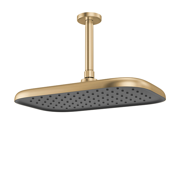 356 x 229 mm Single Function Shower Head with Grey Spray Face