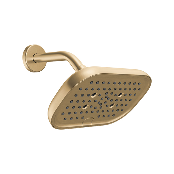 229mm x 146mm Multi-Function (6-Setting) Raincan Showerhead with H2Okinetic Technology