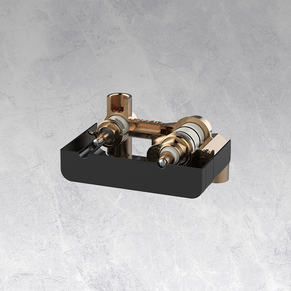 Thermostatic Rough - 2 Outlet