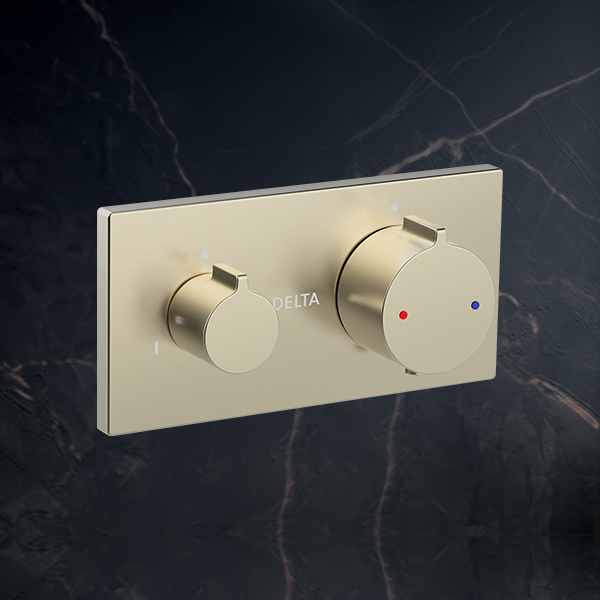 Thermostatic Trim - 2 Outlet