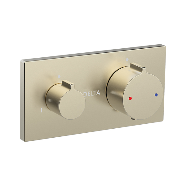 Thermostatic Trim - 2 Outlets