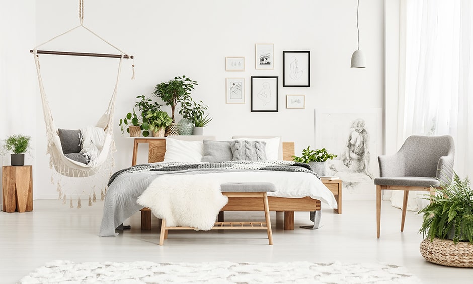 Monsoon plants for home brings freshness indoors in rainy season decoration